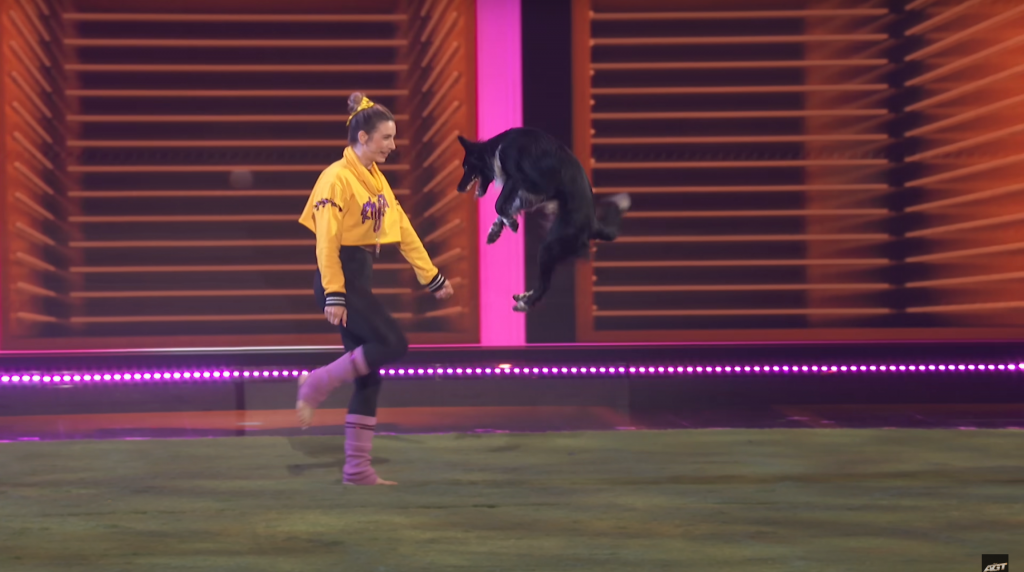 Roni Sagi Dog-Dancing as Rhythm Flies on AGT